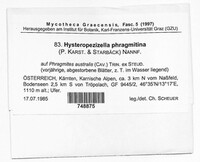 Image Associated With the Occurence